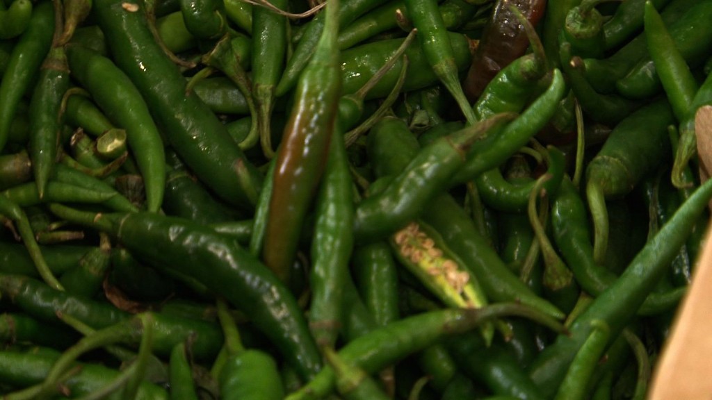 Chilies to be crushed in the Pakistani restaurant